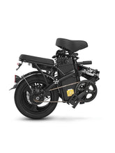 Load image into Gallery viewer, Foldable E-Bike250w